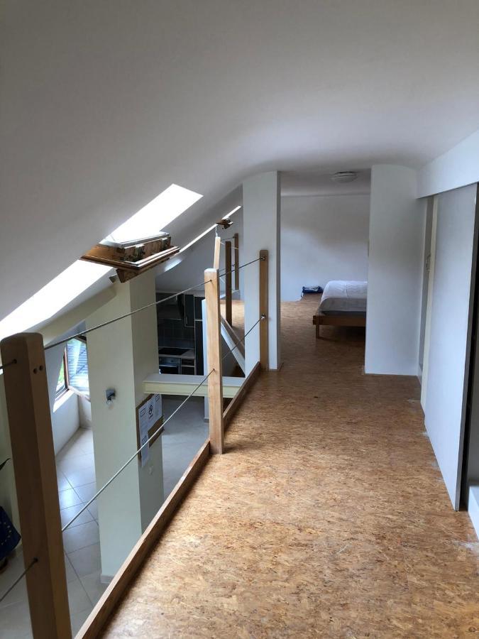 Home Sweet Home In The Green Lung Of Brussels 胡伊埃拉尔特 外观 照片