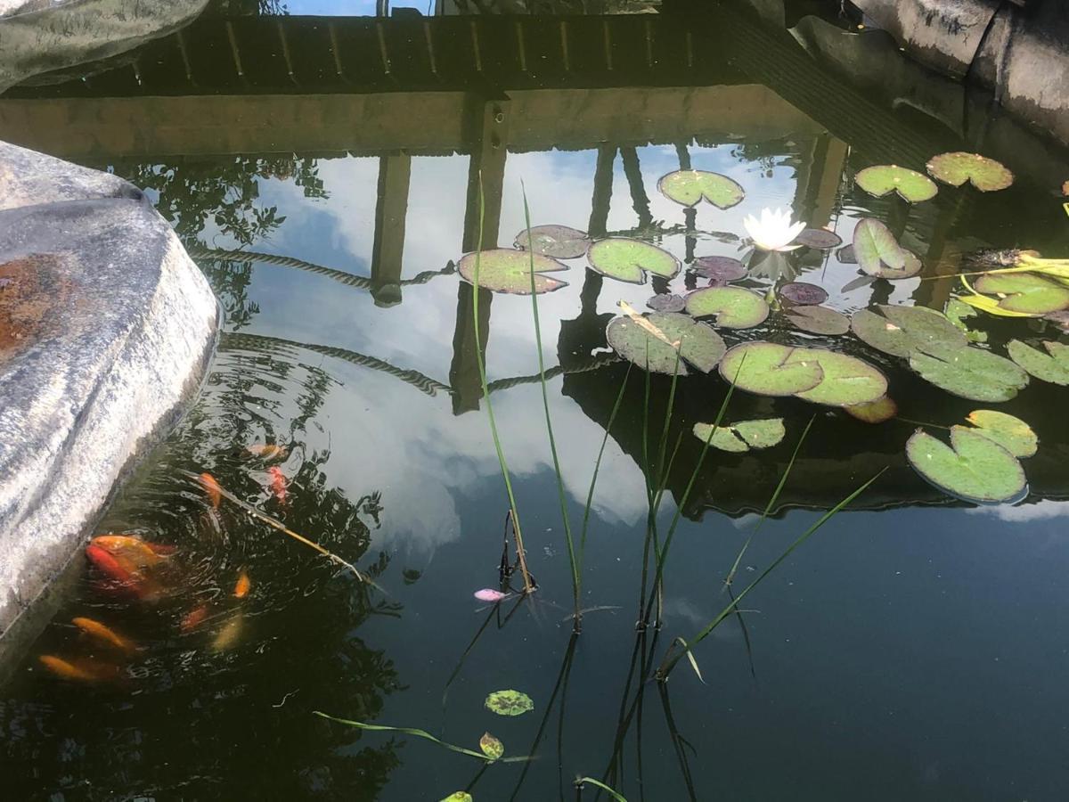 Home Sweet Home In The Green Lung Of Brussels 胡伊埃拉尔特 外观 照片