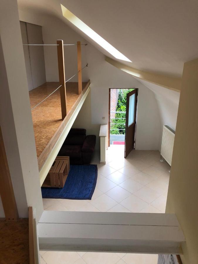 Home Sweet Home In The Green Lung Of Brussels 胡伊埃拉尔特 外观 照片